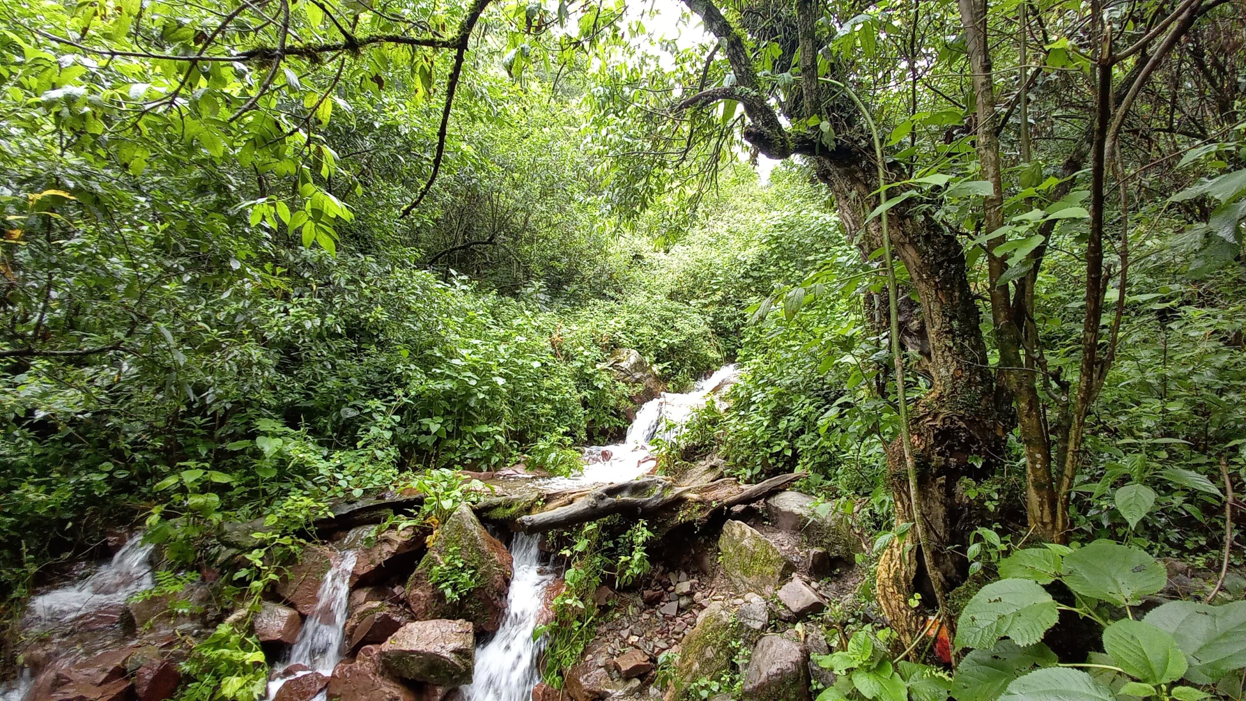 Cerros verdes y aguas termales