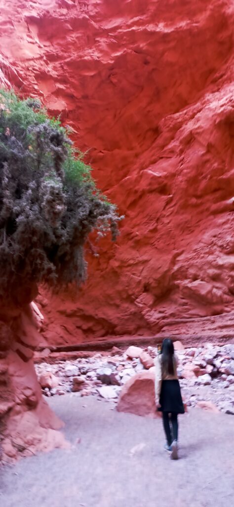 Cañones de color rojo